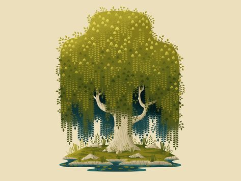 Weeping Willow by Alex Fisher Weeping Willow Tree Illustration, Trees Illustration Art, Weeping Willow Illustration, Cute Tree Illustration, Weeping Willow Art, Weeping Willow Tree Drawing, Japanese Willow Tree, Trees Concept Art, Willow Tree Illustration