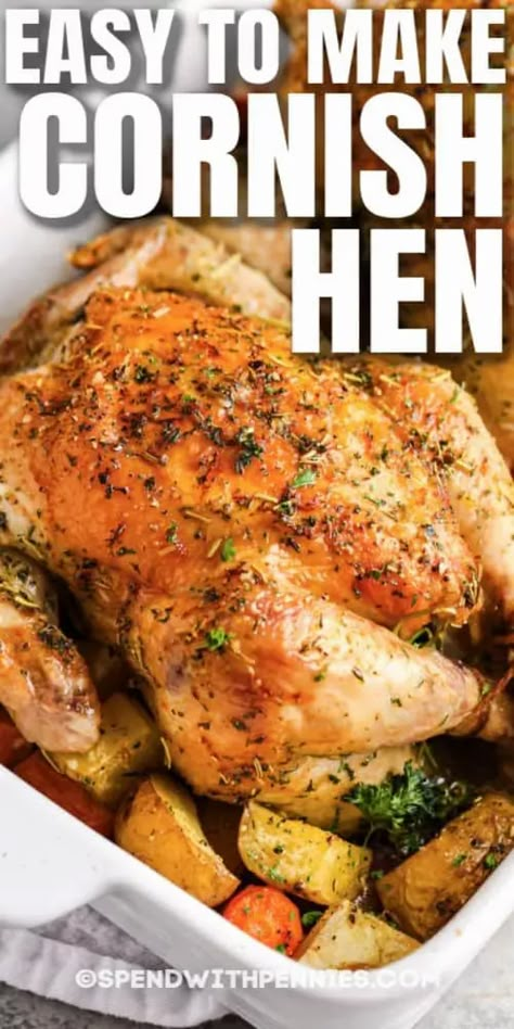 Cornish Hen is smaller than a chicken, which means it will take less time to cook. This juicy, tender hen is oven-baked and cooks in less than 1 hour!  #spendwithpennies #cornishhen #recipe #maindish #ovenroasted #baked Cornish Hen Recipe Roasted, Cornish Hen Recipe Baked, Cornish Hen Recipe Easy, Baked Cornish Hens, Cooking Cornish Hens, Game Hen Recipes, Cornish Game Hen Recipes, Roasted Cornish Hen, Cornish Hen Recipe