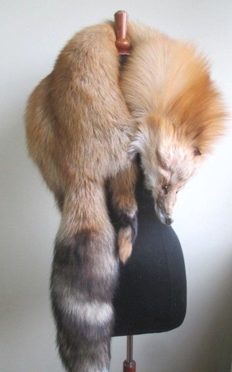 Fox Stole With Head, Fur Coat Art, Fox Clothes, Fox Fashion, Fox Tails, Fur Pelt, Fox Stole, 30 Day Art Challenge, Fox Scarf