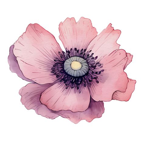 watercolor anemone flower, beautiful floral, AI Generative Anemone Drawing, Watercolor Anemone, Watercolor Templates, Watercolor Flower Illustration, Modern Watercolor Art, Loose Watercolor Flowers, Watercolor Flower Background, Watercolor Designs, Watercolor Art Paintings