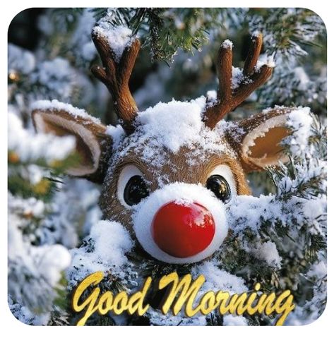 Good Morning December Images, Christmas Good Morning Gif, Good Morning Christmas Theme, Good Morning Holiday Images, Christmas Eve Morning Quotes, Good Morning Christmas Coffee, Christmas Good Morning Images, Christmas Good Morning Quotes, Snow Good Morning