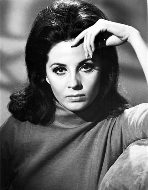 Happy birthday today to Barbara Parkins. She turned 78 on 5/22/2020. Happy Birthday Barbara, Barbara Parkins, German Celebrities, Hollywood Birthday, Shout At The Devil, Patty Duke, Happy Birthday Today, Ryan O'neal, Susan Hayward