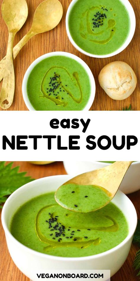 This easy nettle soup is fresh, light and perfect for spring. With just 7 ingredients and 15 minutes cooking you'll have this tasty dish ready to enjoy! With foraged nettles this dish is cheap and nutritious. If you're looking for a tasty vegan soup to enjoy this spring, you've gotta try this. #nettlesoup #vegansoup #springrecipes Nettle Recipes, Nettle Soup, Foraging Recipes, Vegan Stew, Sustainable Eating, Foraged Food, Stinging Nettle, Herbal Recipes, Vegan Soups