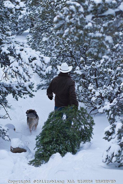 Fresh Cut Christmas Trees, Cowboy Christmas, Winter Beauty, Christmas Scenes, Winter Wonder, Noel Christmas, Fresh Cut, Baby Cold, Country Christmas