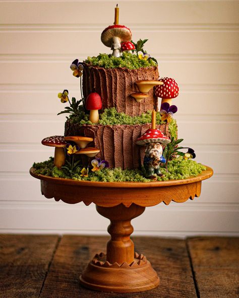 Love Herbs, Mushroom Cake, Mini Torte, Woodland Cake, Forest Birthday, Forest Party, Green Cake, Garden Cakes, Forest Cake