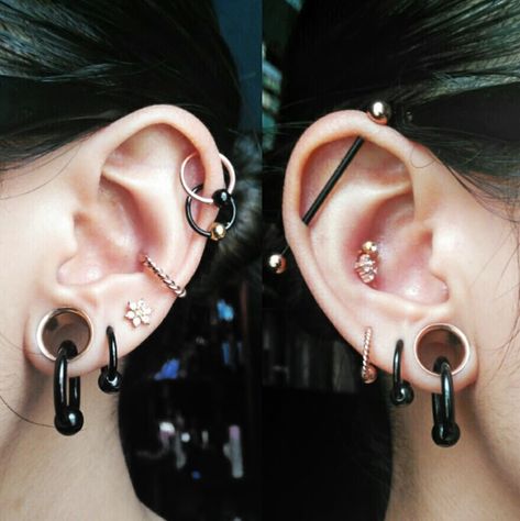 Black and Rose Gold - Do they go well together? Gauges With Ear Piercings, Ear Piercings With Stretched Ears, Black And Gold Piercings, Ear Piercing Ideas With Stretched Ears, Ear Piercings Stretched Ears, Stretch Ear Piercing, Ear Piercing Ideas With Gauges, Gauges And Ear Piercings, Guages With Earring