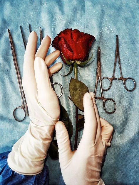 A Rose, Red Rose, Gloves, Red, Instagram