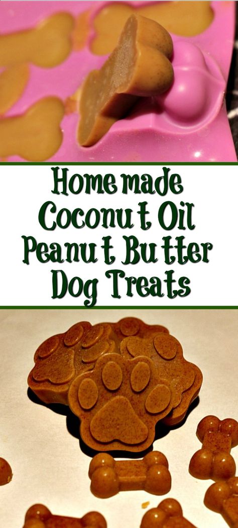 Easy Healthy Homemade Coconut Oil Peanut Butter Dog Treats are perfect to make for your dog! So easy to make and good for them as well! #dogtreats #dog Puppy Treats Homemade, No Bake Dog Treats, Sweet Potato Dog Treats, Homemade Coconut Oil, Pet Treats Recipes, Christmas Dog Treats, Dog Treats Homemade Easy, Easy Dog Treat Recipes, Dog Treats Grain Free