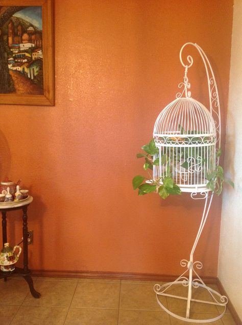 Aesthetic Bird Cage, Diy Bird Cage Decoration, Cute Bird Cage, Birdcage Planter, Diy Bird Cage, Antique Bird Cages, Small Bird Cage, Hanging Bird Cage, Interior Design Your Home