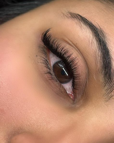 Classics Lashes Extensions, Classic Lash Cat Eye, Open Cat Eye Lash Extensions, Lash Extensions Half Set, Classic Lashes Cat Eye, Cat Eye Lash Extensions Natural, Cat Eye Classic Lash Extensions, Lashes Extensions Cat Eye, Classic Cat Eye Lash Extensions