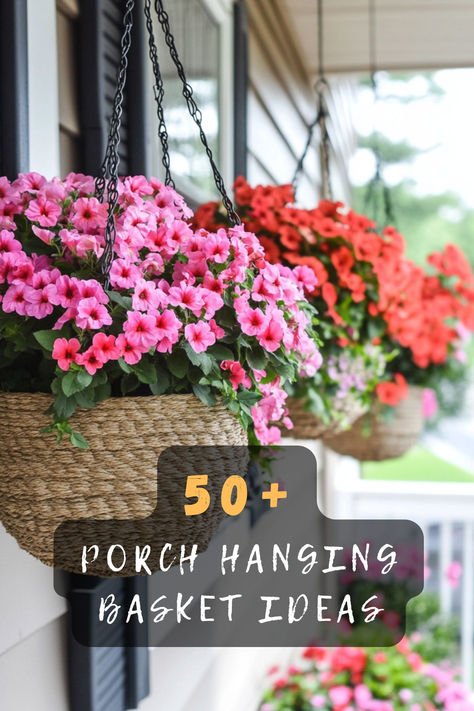 Discover 50 beautiful hanging basket ideas to elevate your porch decor. From lush greenery and vibrant blooms to cascading vines, these designs add color and charm to your outdoor space. Find out how to create stunning displays that enhance your porch's appeal. Click to explore these inspiring ideas! 🌿🏡 #HangingBaskets #PorchDecor #OutdoorInspo #GardenStyle #ColorfulBlooms #GreenThumb #DecorIdeas Porch Hanging Baskets, Hanging Basket Ideas, Porch Appeal, Basket Plant, Plants For Hanging Baskets, Hanging Basket, Lush Greenery, Basket Ideas, Porch Decor