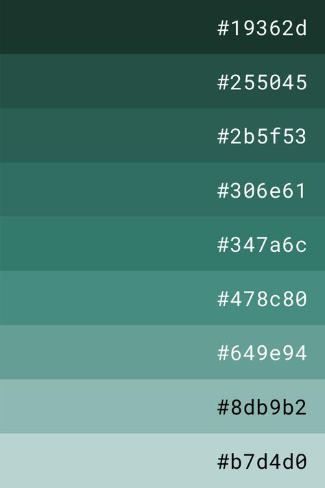 Colours With Hex Code, Canva Green Code, Color Palette With Rgb Code, Nature Color Palette Hex Codes, Color Palette With Code, Aesthetic Color Codes, Color Pallete Green, Color Pallets With Hex Codes, Hex Palette