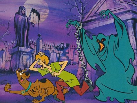 Scoby Doby Doo, Scooby Doo Memes, Scooby Doo Halloween, Scooby Doo Mystery Inc, Scooby Doo Images, Shaggy And Scooby, Scooby Doo Mystery, Disneyland Pictures, Images Disney