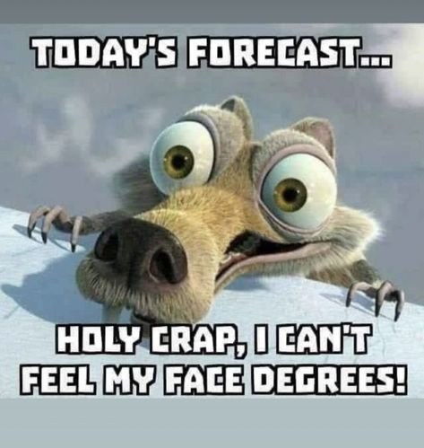 Cold Humor, Cold Weather Funny, Frozen Memes, Winter Humor, Snow Humor, Weather Memes, Good Morning Winter, Texas Humor, Funny Weather