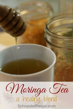 Moringa tea is a super nutritious and healing tea. Moringa has a very neutral flavor so it's easy to mix in with other more flavorful herbs. Moringa Tea Benefits For Women, Moringa Tea Recipe, Soursop Recipes, Moringa Tea Benefits, Medicinal Teas, Balance Food, Moringa Recipes, Moringa Tea, Moringa Benefits