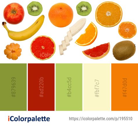 92 Citrus Color Palette ideas in 2020 | iColorpalette Healthy Food Color Palette, Healthy Color Palette, Fruit Palette, Citrus Color Palette, Food Magazine Layout, Food Colors Palette, Healthy Colors, Bali Food, Protein Salad