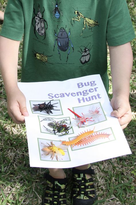 It’s A Bugs Life Party, Bug Hunt Activities, Insect Birthday Party Games, Bug Themed Games, Bug Birthday Games, Bug Themed Snacks, Bug Party Games, Kids Fairy Garden Party, Bug Themed Food