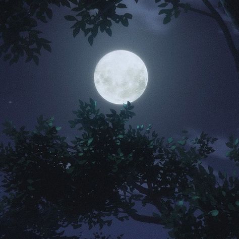 #moon #aesthetic Bone Criers Moon Aesthetic, Moon Prince Aesthetic, Luna Witch Aesthetic, Moon Worship Aesthetic, Moon Fantasy Aesthetic, Nightborne Aesthetic, Lady Of The Moon Aesthetic, Circle Of The Moon Druid Aesthetic, Moonlight Aesthetic Dark