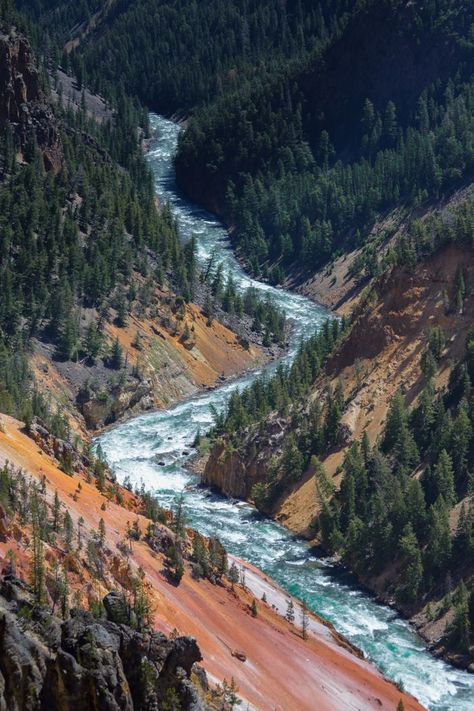 Valley River, Trees Photo, Yellowstone River, Painting Reference, Beautiful Scenes, Design 2023, Dungeons Dragons, River Valley, Gods Creation