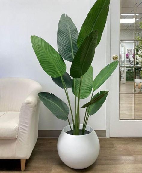 Big Indoor Plants, Home Yoga Room, Black Room Decor, Luxury Living Room Decor, Living Room Plants, Planta Artificial, Patio Inspiration, Boho Deco, Plants Decor