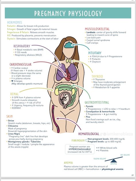 Ob Nursing Student Notes, Midwifery Student Notes, Intrapartum Nursing, Gynecologist Aesthetic, Midwifery Notes, Gynecologist Exam, Obgyn Doctor, Nursing School Prep, Nursing School Studying Cheat Sheets