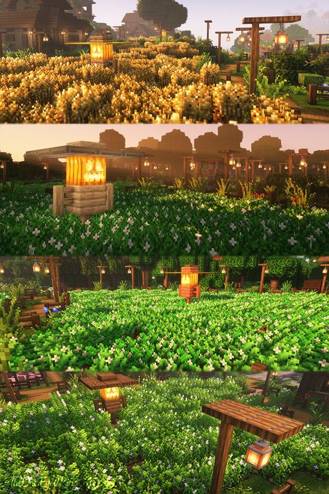 The first farmlands for wheat, carrots, beatroot and potatoes. color variation for each scarecrow Scare Crow Minecraft, Minecraft Farm Wall, Minecraft Potato Farm Design, Minecraft Terrace Farm, Minecraft Farmland Ideas, Potato Farm Minecraft, Carrot Farm Minecraft, Minecraft Farm Decor, Minecraft Farmers Delight