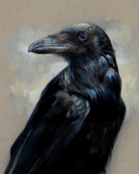 Carrion Crow, Crow Painting, Witches Familiar, A Crow, Raven Art, Traditional Artwork, Australian Birds, Learn Art, Fantasy Concept Art