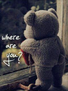 Teddy Bear Quotes, Bear Quotes, Waiting For You, Get Well, Miss You, The Words, So True, Best Friend, Love Quotes