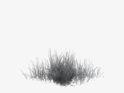 Winter Grass, Grass Png, Grass Clipart, Trees Top View, Plant Png, Pine Tree Silhouette, Winter Elements, Winter Clipart, Winter Plants