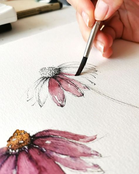 Agata | Happy Tuesday everyone 🌿 . . . #everydaywatercolor #floralsketch #lineandwash #inkandwatercolor #aquarellepaintings #scene4art… | Instagram Echinacea Painting, Purple Echinacea, Happy Tuesday Everyone, Watercolor Flowers Tutorial, Art Tutorials Watercolor, Flowers Tutorial, Wildflower Meadow, Watercolor Tutorials, Watercolor Paintings For Beginners