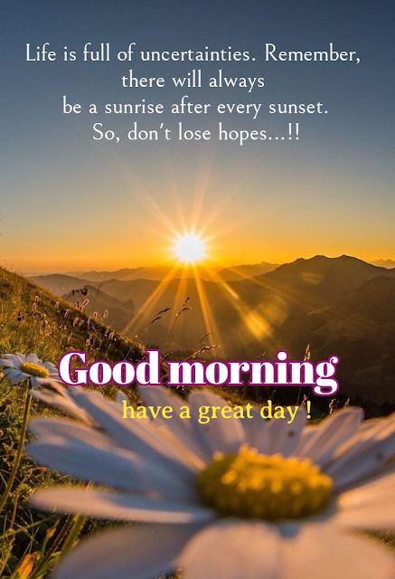 Good Morning Thoughts, Good Morning Sun, Love Good Morning, Good Morning Msg, Morning Msg, Positive Good Morning Quotes, Good Morning Spiritual Quotes, Good Morning Sunshine Quotes, Happy Morning Quotes