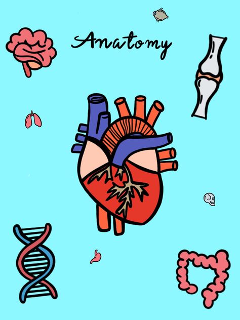 Anatomy, Heart, Doodles, Digital Notes, Art Anatomy Assignment Cover Page, Anatomy And Physiology Binder Cover Printable, Anatomy And Physiology Notebook Cover, Anatomy Cover Page, Anatomy And Physiology Cover Page, Anatomy Binder Cover, Physiology Wallpaper, Anatomy Notebook Cover, Anatomy Notebook