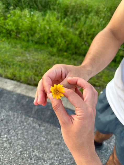 One of my favorite things about you is that you always pick flowers for me Hand Picked Flowers From Boyfriend, Wild Flowers From Boyfriend, Hand Picked Flowers Boyfriend, Guy Picking Flowers, Guy Holding Flowers Aesthetic, Flower Picking Date, Guy Giving Girl Flowers, Romantic Gestures For Girlfriend, Flowers With Note