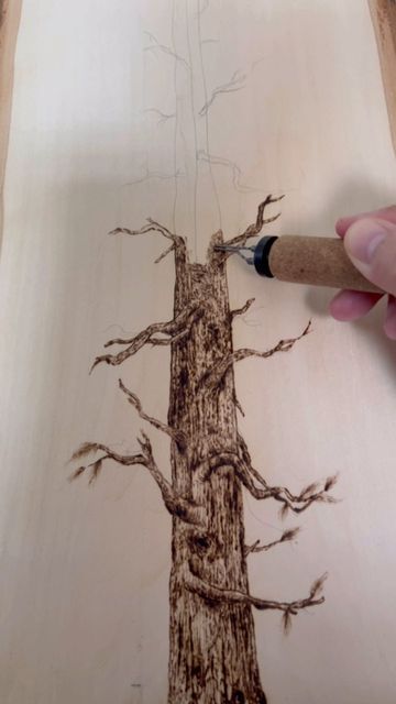 Wood burning art on Instagram: "Pine tree wood burning 🔥 . . . #woodworking #woodslice #handmade #pyrography" Wood Burning Pine Trees, Pyrography Art Ideas, Pyrography Trees, Pyrography Signs, Tree Wood Burning, Woodburning Crafts, Pyrography Ideas, Beetle Art, Pyrography Art