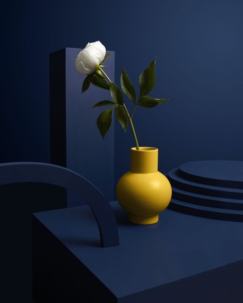 Dark Palette, Colourful Images, Modern Flower Vase, Vase Ideas, Famous Pictures, Yellow Vase, Creative Review, Study Photography, Product Photographer