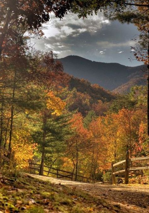 The Appalachians, Kentucky Autumn Magic, Autumn Scenes, Autumn Scenery, Dirt Road, Autumn Beauty, Fall Pictures, Lombok, Pretty Places, Fall Foliage