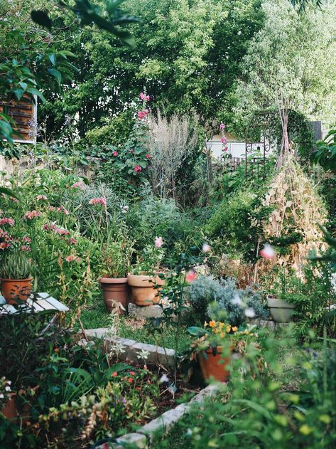 Backyard Forest Garden, English Kitchen Garden, Italian Cottage Garden, Diy English Garden, Small Garden Allotment Ideas, Australian Cottage Garden, Aesthetic Veggie Garden, Wild Cottage Garden, Autumn Cottage Garden