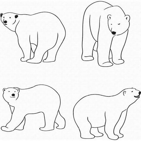 Polar Bear Outline, Polar Bear Drawing, Bear Template, Polar Bear Art, Bear Svg, Polar Animals, Bear Silhouette, Bear Drawing, Bear Art