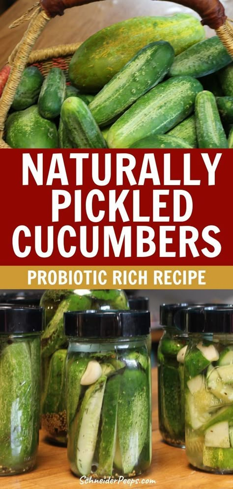 Ferment Cucumbers, Fermented Pickles Recipe, Fermented Dill Pickles, Lacto Fermented Pickles, Fermented Vegetables Recipes, Canned Pickles, Preserving Vegetables, Lacto Fermented, Sour Pickles