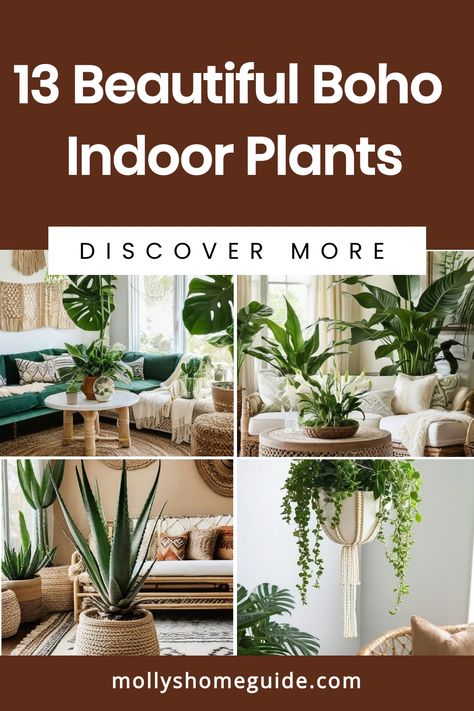 Elevate your space with the best boho indoor plants for a touch of nature indoors. Find Indoor plants styling inspiration to bring life to your home decor effortlessly. Discover how houseplants decor boho style can create a cozy and inviting atmosphere in any room, whether it's a chic living area or a serene bedroom retreat. Incorporate rattan and macramé accents into your interiors to achieve that perfect bohemian vibe. Indoor Plants Styling Inspiration, Indoor Plants Styling Living Rooms, Plant Ideas Indoor, Plants Styling, Boho Plants, Houseplants Decor, Indoor Beach, Indoor Plants Styling, Modern Bohemian Home