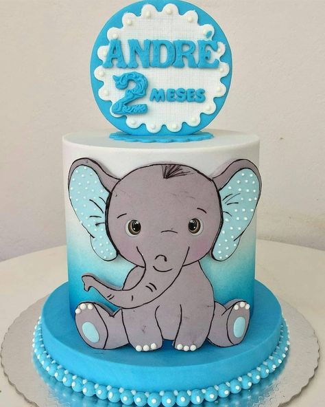 Elephant Cake Birthday, Elephant Birthday Cakes, Boy Birthday Pictures, Elephant Birthday Party, Cake Designs For Boy, Elephant Cake, Floral Birthday Invitations, Elephant Cakes, Baby Shower Cakes For Boys