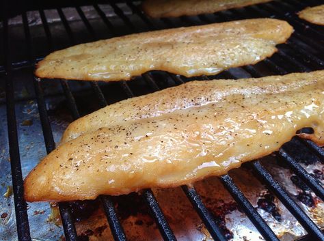 Traeger Smoked Honey Swai or Tilapia Recipe Smoked Tilapia, Smoked Fish Recipe, Smoked Honey, Traeger Cooking, Swai Fish, Traeger Grill Recipes, Tilapia Recipe, Pellet Grill Recipes, Traeger Recipes