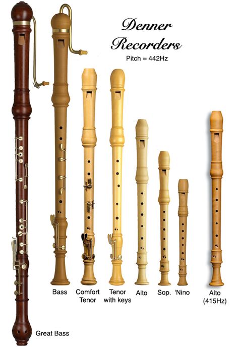 Recorder Lessons, Recorder Notes, Tin Whistles, Recorder Instrument, World History Facts, Music Terms, Instrument Families, Wind Instruments, Tin Whistle