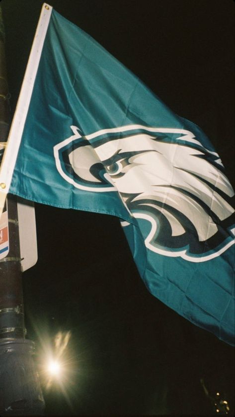 Philadelphia Eagles 2023, Eagles Football Aesthetic, Philadelphia Eagles Aesthetic, Football Eagles, Eagles Game, Philly Eagles, Philly Sports, Philadelphia Eagles Fans, Philadelphia Eagles Football