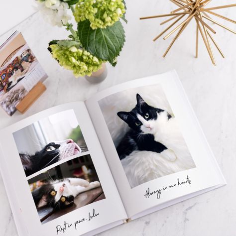 16 Pet Photo Album Ideas Perfect For All Animal Lovers Pet Photo Album Ideas, Pet Journal Ideas, Photo Album Aesthetic, Dog Photo Album Ideas, Dog Photo Collage Ideas, Scrapbook Dog Ideas, Photo Album Ideas, Pet Memorial Scrapbook Page, Collage Gifts