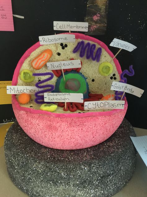 Animal cell  1st place winner!!!! 3d Animal Cell Project, 3d Cell Project, Animal Cell Model Project, Edible Cell Project, 3d Animal Cell, Plant Cell Project, Edible Cell, Cell Model Project, Plant Cell Model