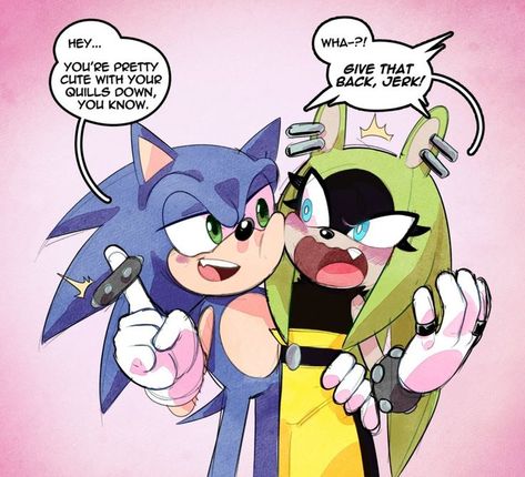 Smash Bros Funny, Super Powers Art, Sonic Heroes, Boss Wallpaper, Sonic Funny, Sonic Fan Characters, Hedgehog Art, Sonic And Shadow, Sonic Fan Art