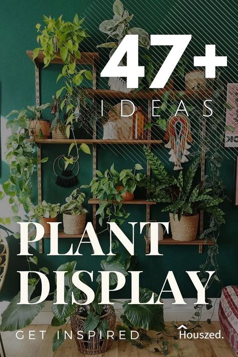 47 Indoor Plant Displays That Bring the Outdoors inside in 2022 Indoor Plant Display, Plants Stand, Plant Display Ideas, Bring The Outdoors Inside, Large Indoor Plants, Short Plants, Wooden Plant Stands, Pothos Plant, Tiny Plants