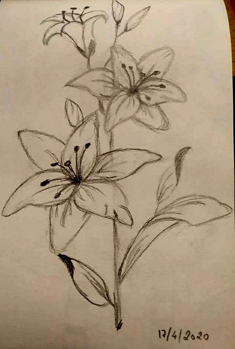 Fairy Grunge Painting Ideas Easy, Nature Inspired Drawings, New Drawing Ideas Inspiration, Art Sketches Aesthetic Nature, Flower Drawing Inspiration, Cool Flower Drawings, Drawing Ideas Aesthetic Vintage, Aesthetic Flower Sketch, Pencil Drawing Techniques