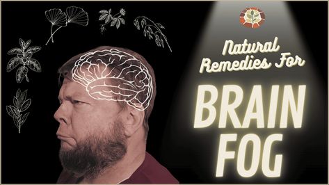 About Brain, Bacopa Monnieri, I Was Here, Natural Alternatives, Holistic Approach To Health, The Older I Get, Mood Boost, Ginkgo Biloba, Improve Memory